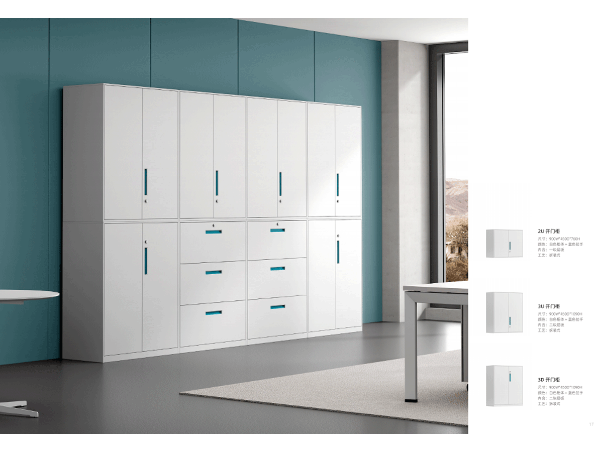 Steel Cabinet Solutions: Modern, Durable & Versatile