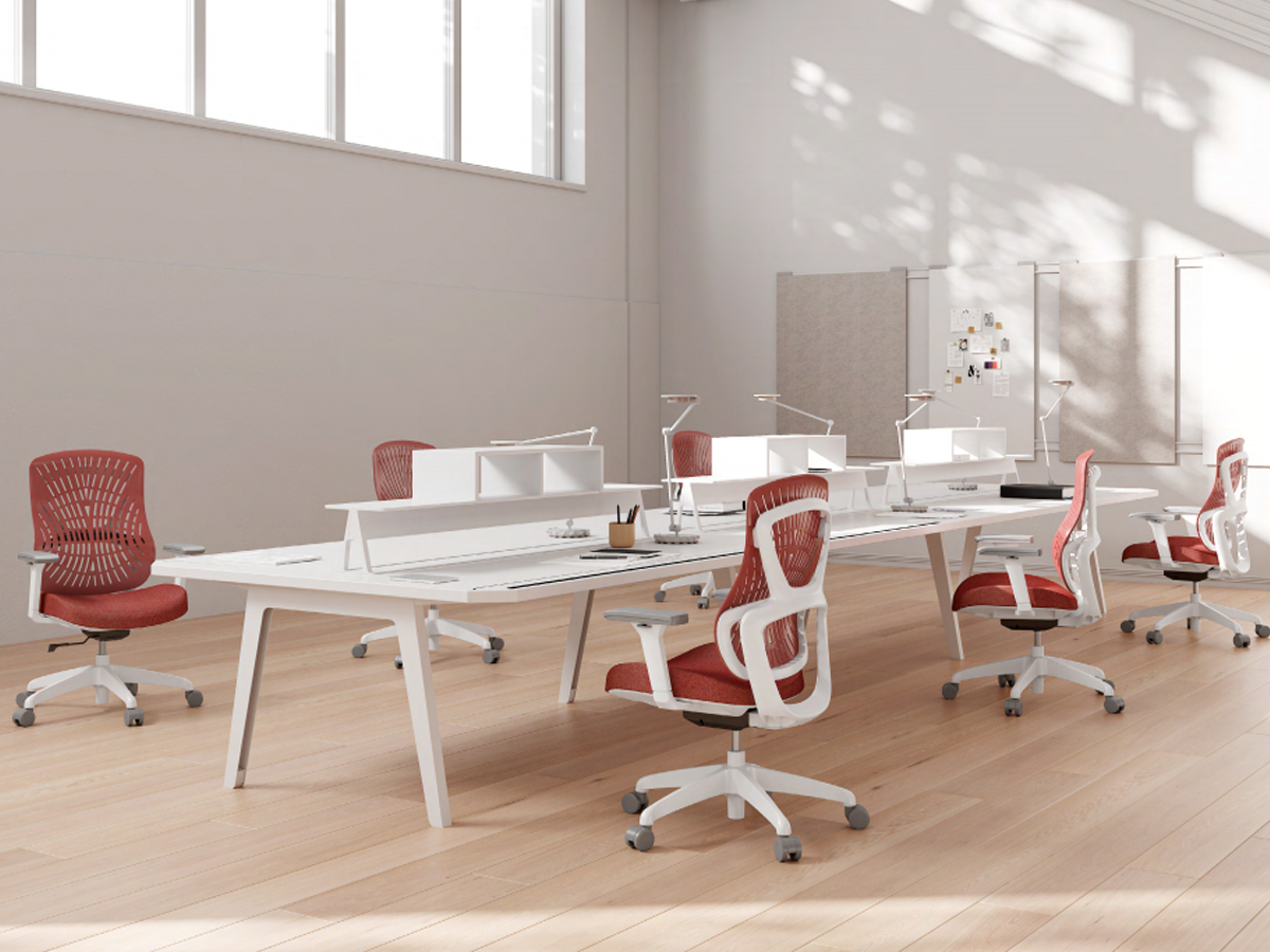 Chaise de bureau ergonomique avec soutien lombaire et accoudoirs réglables